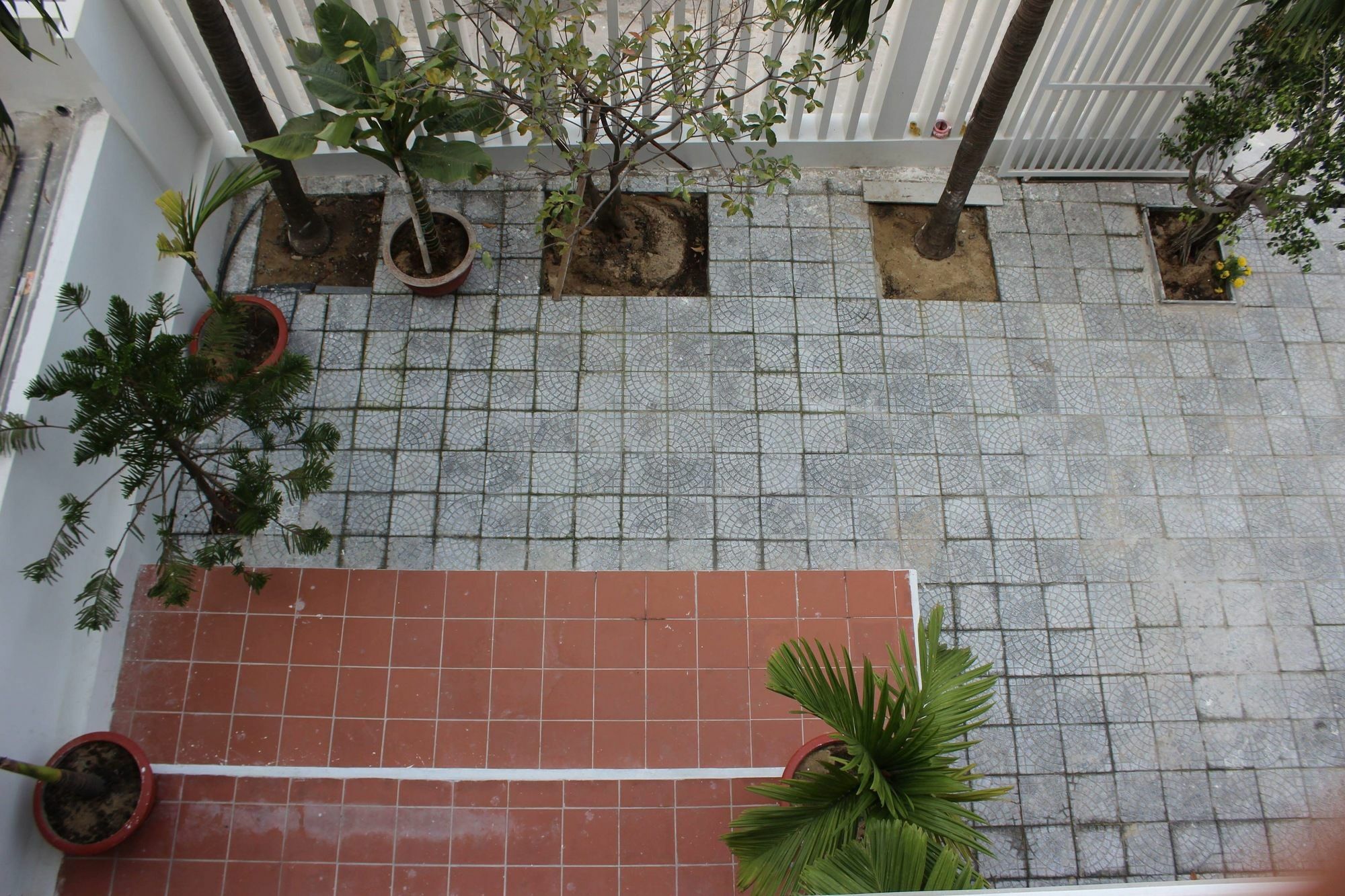 Minh Thao Guesthouse 岘港 外观 照片
